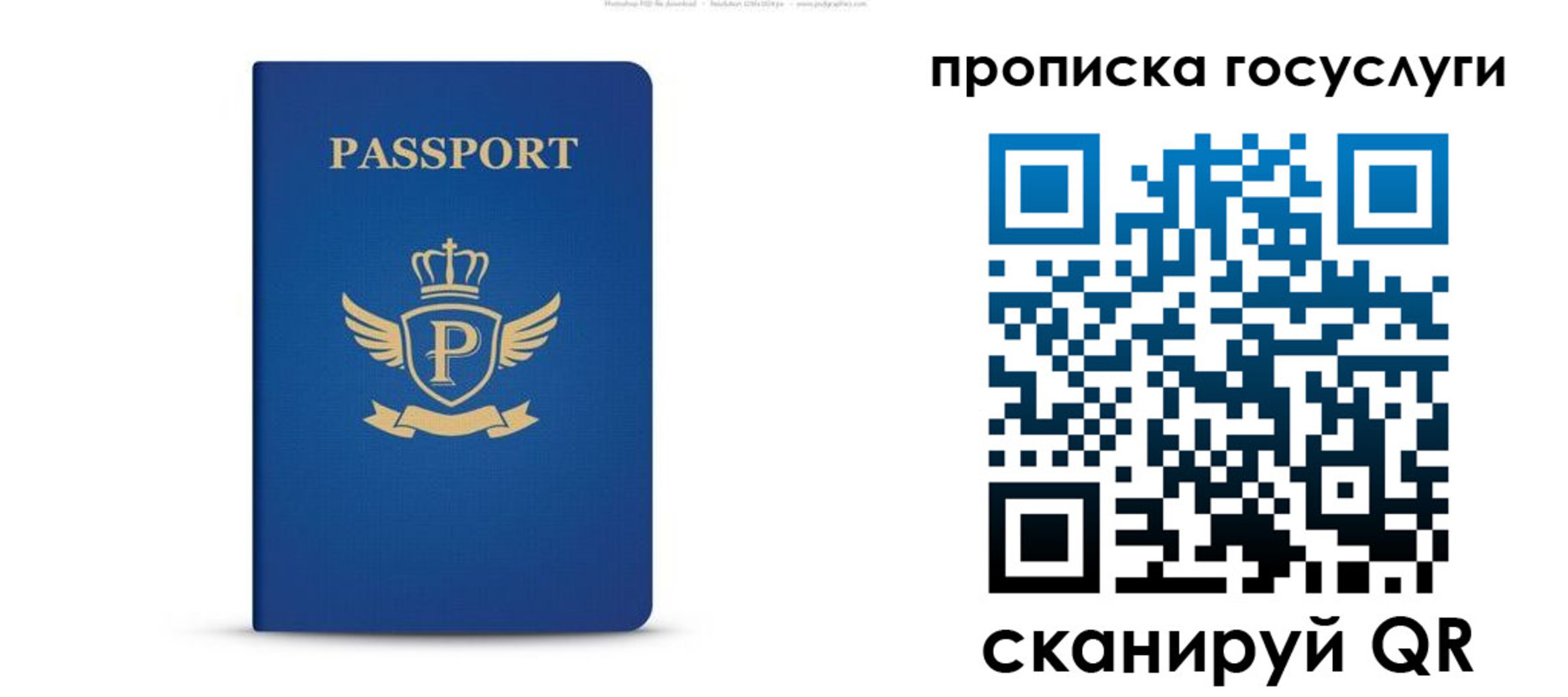 прописка для школы в Новозыбкове